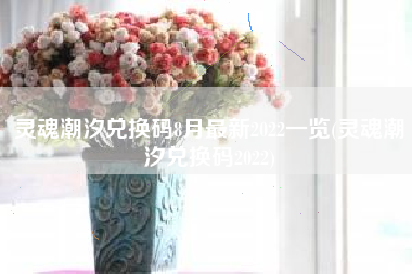 灵魂潮汐兑换码8月最新2022一览(灵魂潮汐兑换码2022)