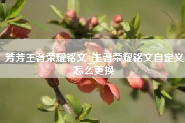 芳芳王者荣耀铭文_王者荣耀铭文自定义怎么更换