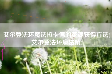 艾尔登法环魔法拉卡德的冤魂获得方法(艾尔登法环魔法镇)