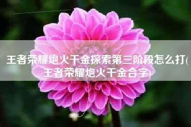 王者荣耀炮火千金探索第三阶段怎么打(王者荣耀炮火千金合字)