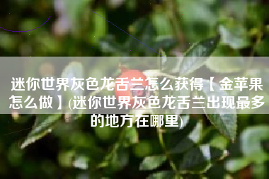 迷你世界灰色龙舌兰怎么获得【金苹果怎么做】(迷你世界灰色龙舌兰出现最多的地方在哪里)