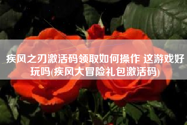 疾风之刃激活码领取如何操作 这游戏好玩吗(疾风大冒险礼包激活码)