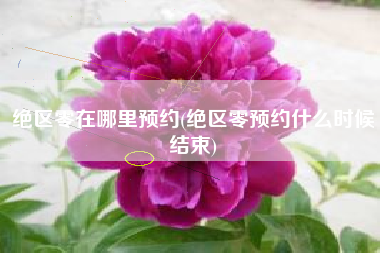 绝区零在哪里预约(绝区零预约什么时候结束)