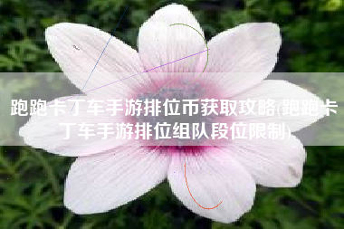 跑跑卡丁车手游排位币获取攻略(跑跑卡丁车手游排位组队段位限制)