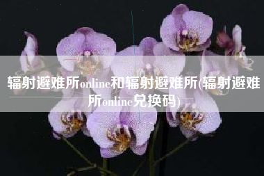 辐射避难所online和辐射避难所(辐射避难所online兑换码)