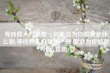 等待良人归来那一刻眼泪为你唱歌是什么歌(等待良人归来那一刻 眼泪为你唱歌什么意思)