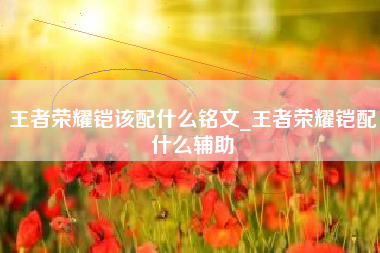 王者荣耀铠该配什么铭文_王者荣耀铠配什么辅助