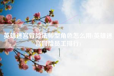 英雄迷宫冒险法师型角色怎么用(英雄迷宫冒险员工排行)