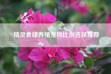 精灵食肆养殖宠物比例选择推荐