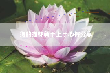 狗的猫林新手上手心得分享