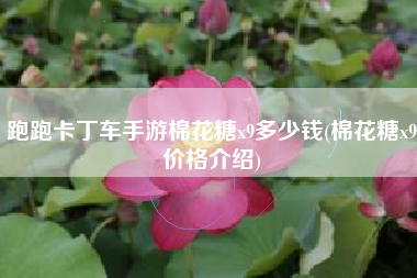 跑跑卡丁车手游棉花糖x9多少钱(棉花糖x9价格介绍)