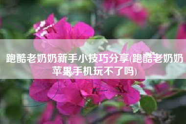 跑酷老奶奶新手小技巧分享(跑酷老奶奶苹果手机玩不了吗)