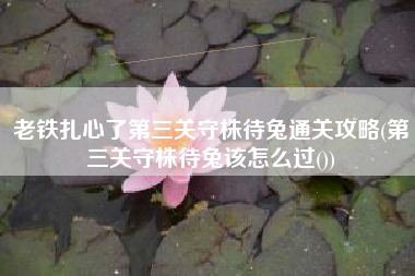 老铁扎心了第三关守株待兔通关攻略(第三关守株待兔该怎么过())