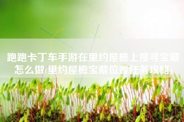 跑跑卡丁车手游在里约屋檐上搜寻宝藏怎么做(里约屋檐宝藏位置任务攻略)
