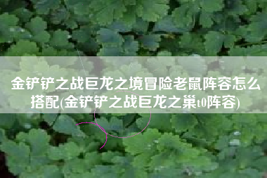 金铲铲之战巨龙之境冒险老鼠阵容怎么搭配(金铲铲之战巨龙之巢t0阵容)