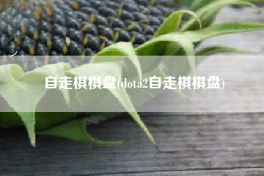 自走棋棋盘(dota2自走棋棋盘)