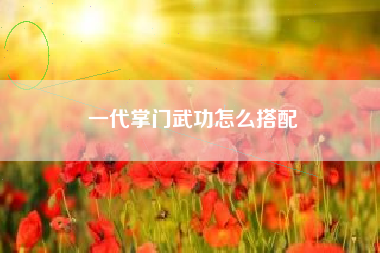 一代掌门武功怎么搭配
