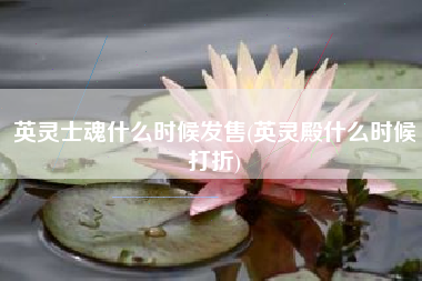 英灵士魂什么时候发售(英灵殿什么时候打折)