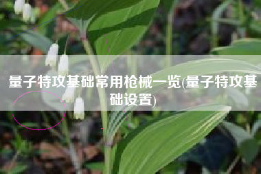 量子特攻基础常用枪械一览(量子特攻基础设置)