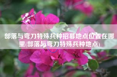 部落与弯刀特殊兵种招募地点位置在哪里(部落与弯刀特殊兵种地点)