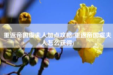 重返帝国虞夫人加点攻略(重返帝国虞夫人怎么获得)
