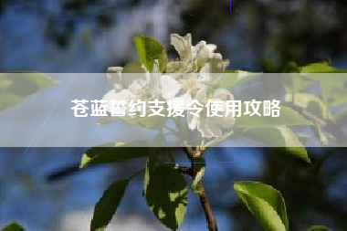 苍蓝誓约支援令使用攻略