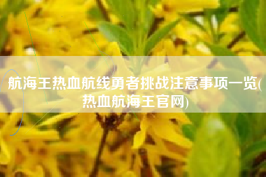 航海王热血航线勇者挑战注意事项一览(热血航海王官网)