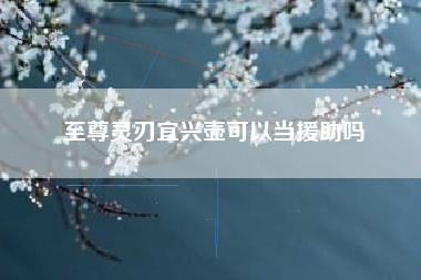 至尊灵刃宜兴壶可以当援助吗