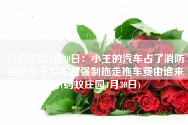 蚂蚁庄园3月30日：小王的汽车占了消防通道拒不挪车被强制拖走拖车费由谁来付(蚂蚁庄园3月30日)