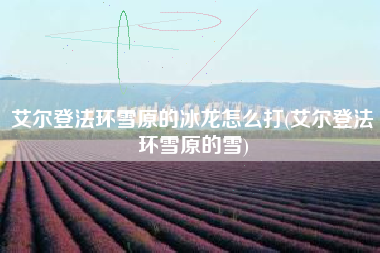 艾尔登法环雪原的冰龙怎么打(艾尔登法环雪原的雪)