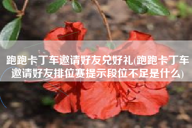 跑跑卡丁车邀请好友兑好礼(跑跑卡丁车邀请好友排位赛提示段位不足是什么)