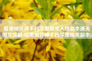 暗黑破坏神不朽李奥瑞克入侵副本通关图文攻略(暗黑破坏神不朽李奥瑞克副本)