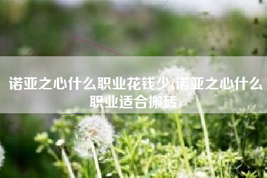 诺亚之心什么职业花钱少(诺亚之心什么职业适合搬砖)