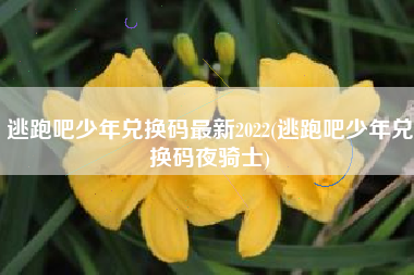 逃跑吧少年兑换码最新2022(逃跑吧少年兑换码夜骑士)