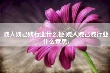 贱人贱己贱行业什么梗(贱人贱己贱行业什么意思)