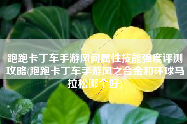 跑跑卡丁车手游风间属性技能强度评测攻略(跑跑卡丁车手游风之合金和环球马拉松哪个好)