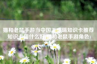 猫和老鼠手游当中国王杰瑞知识卡推荐 知识卡用什么好(猫和老鼠手游角色)