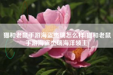 猫和老鼠手游海盗杰瑞怎么样(猫和老鼠手游海盗杰瑞海洋领主)