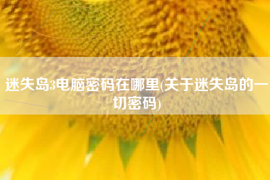 迷失岛3电脑密码在哪里(关于迷失岛的一切密码)