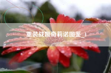 重装战姬奇莉诺图鉴_1