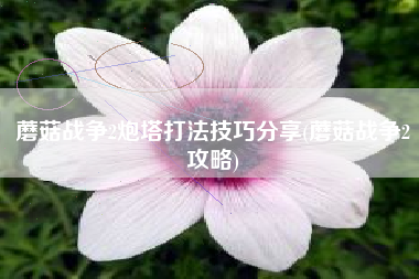 蘑菇战争2炮塔打法技巧分享(蘑菇战争2攻略)