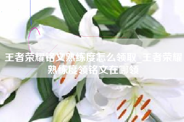 王者荣耀铭文熟练度怎么领取_王者荣耀熟练度领铭文在哪领