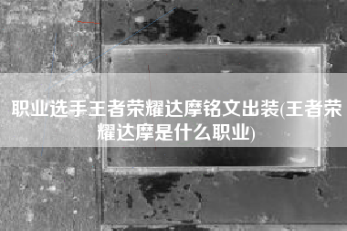 职业选手王者荣耀达摩铭文出装(王者荣耀达摩是什么职业)