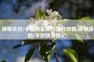 神雕侠侣2手游侠客战力提升攻略(神雕侠侣2手游侠客传记)