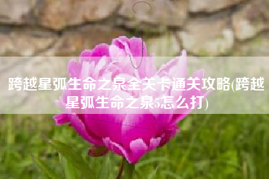 跨越星弧生命之泉全关卡通关攻略(跨越星弧生命之泉5怎么打)