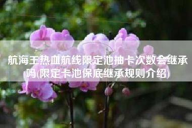 航海王热血航线限定池抽卡次数会继承吗(限定卡池保底继承规则介绍)