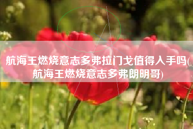 航海王燃烧意志多弗拉门戈值得入手吗(航海王燃烧意志多弗朗明哥)