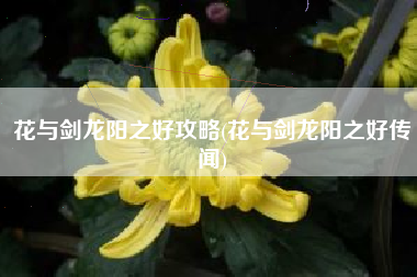 花与剑龙阳之好攻略(花与剑龙阳之好传闻)