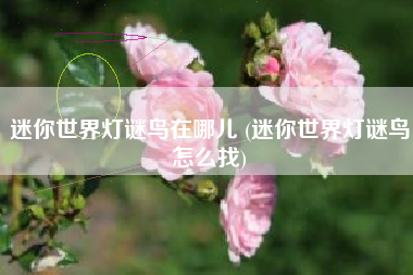 迷你世界灯谜鸟在哪儿 (迷你世界灯谜鸟怎么找)