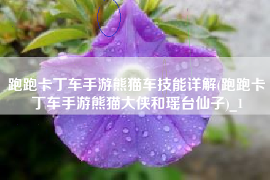 跑跑卡丁车手游熊猫车技能详解(跑跑卡丁车手游熊猫大侠和瑶台仙子)_1